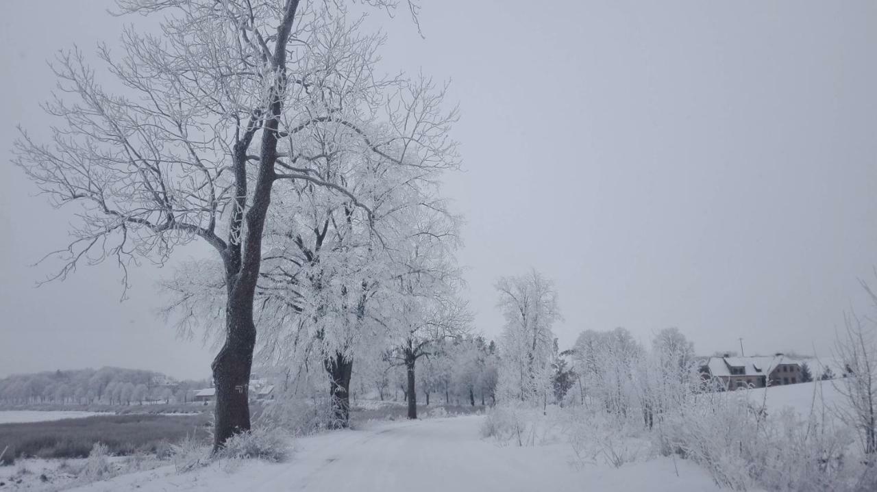 Appartamento Nad Stawem Biala Olecka Esterno foto